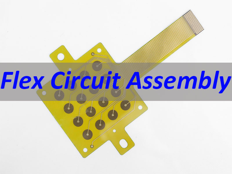 Flex Circuit Assembly